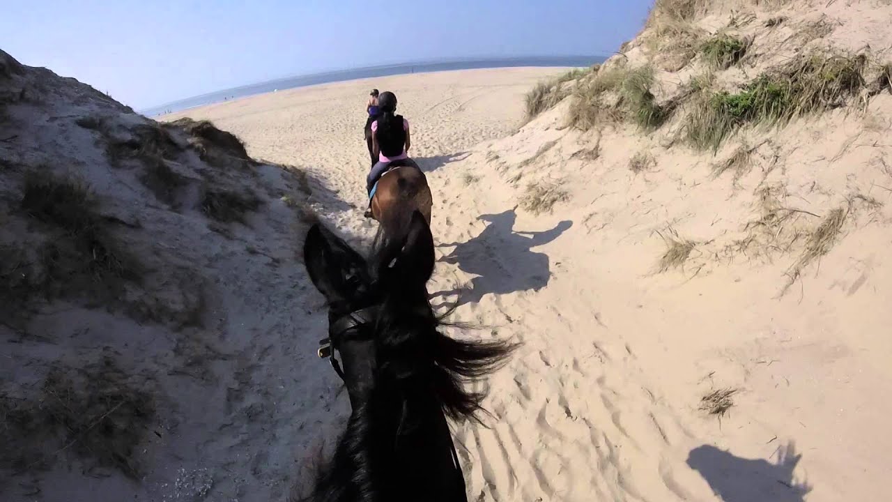 Strandritten Rijstal Nella Dorien 18 en 20 augustus 2015, Hollum- Ameland