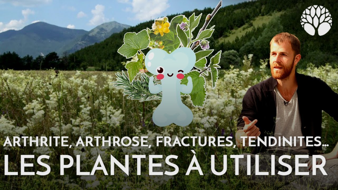 10 plantes sauvages contre les douleurs ostéo-articulaires