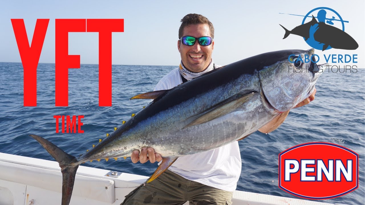 Yft 35lb con equipo medio de spinning - Penn Spinfisher 4500