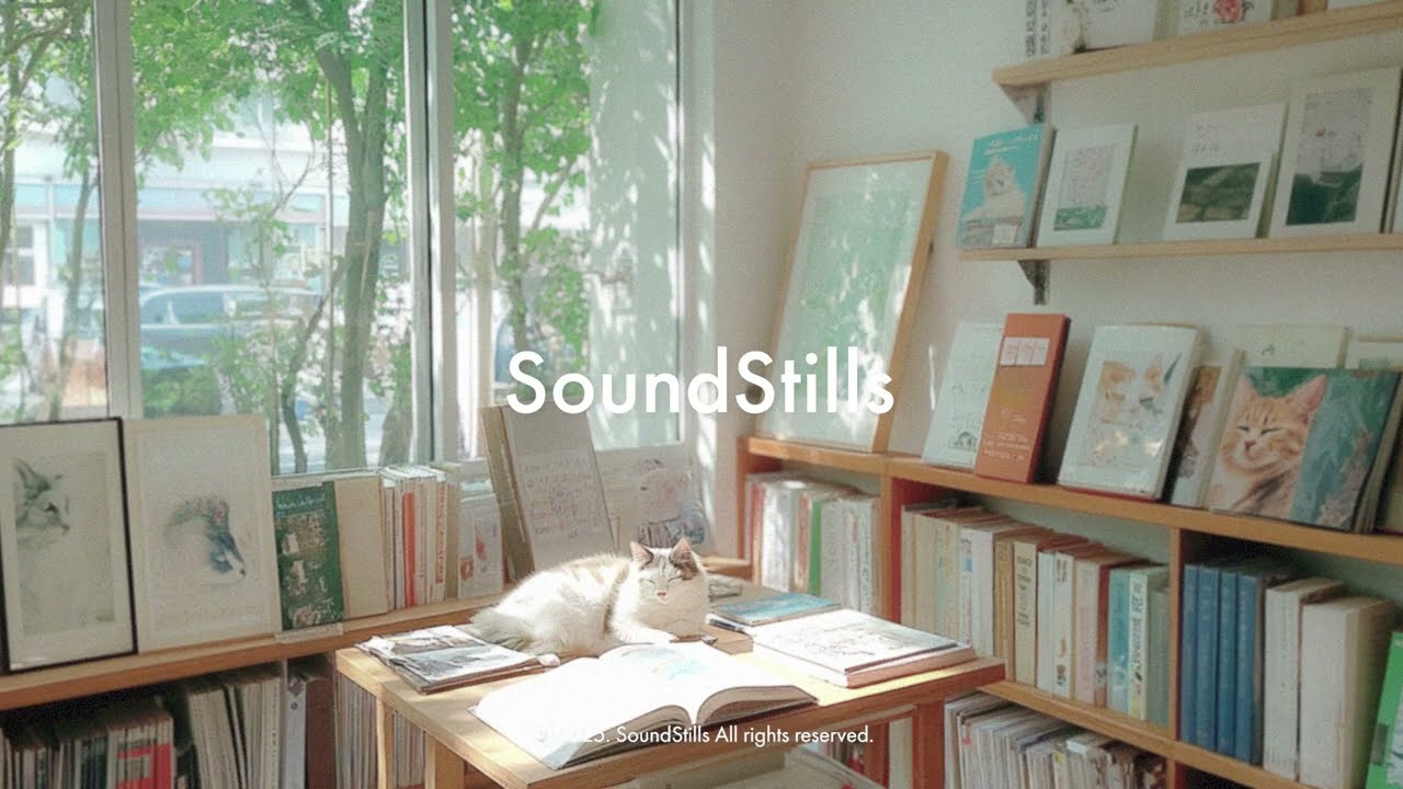 [playlist] 고양이 서점 l 한가로운 독서시간의 음악