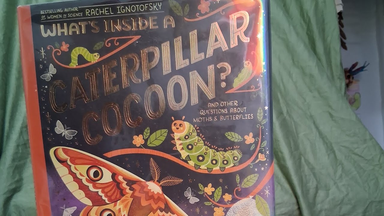 What's inside a Caterpillar Cocoon?
