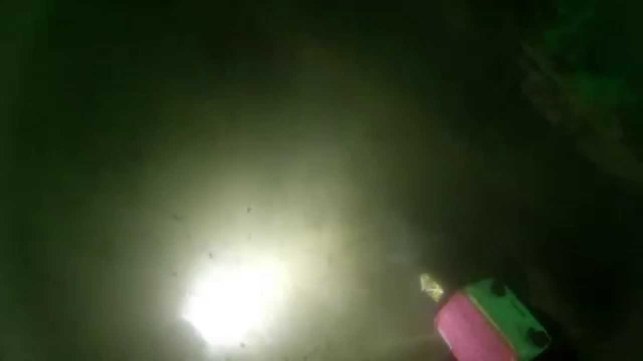 BALAENA video dive report for 15-JUL-2012