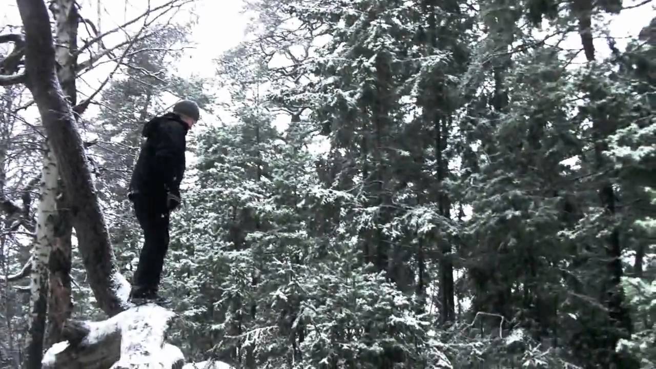 Funny Frost Sampler 2009