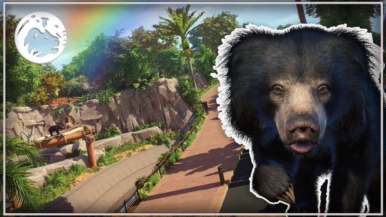 🐻 CLASSIC Sloth Bear Habitats Speedbuild! | San Cabrillo Zoo