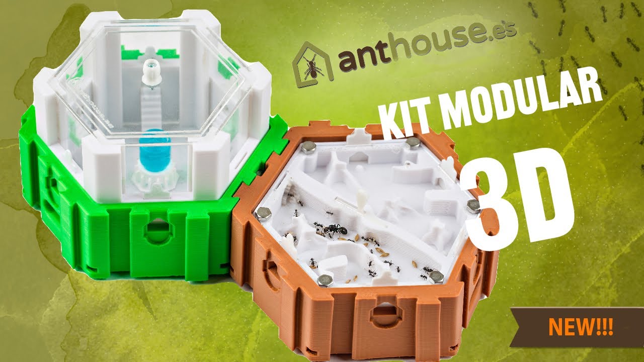 New 3D modular ANTFARM