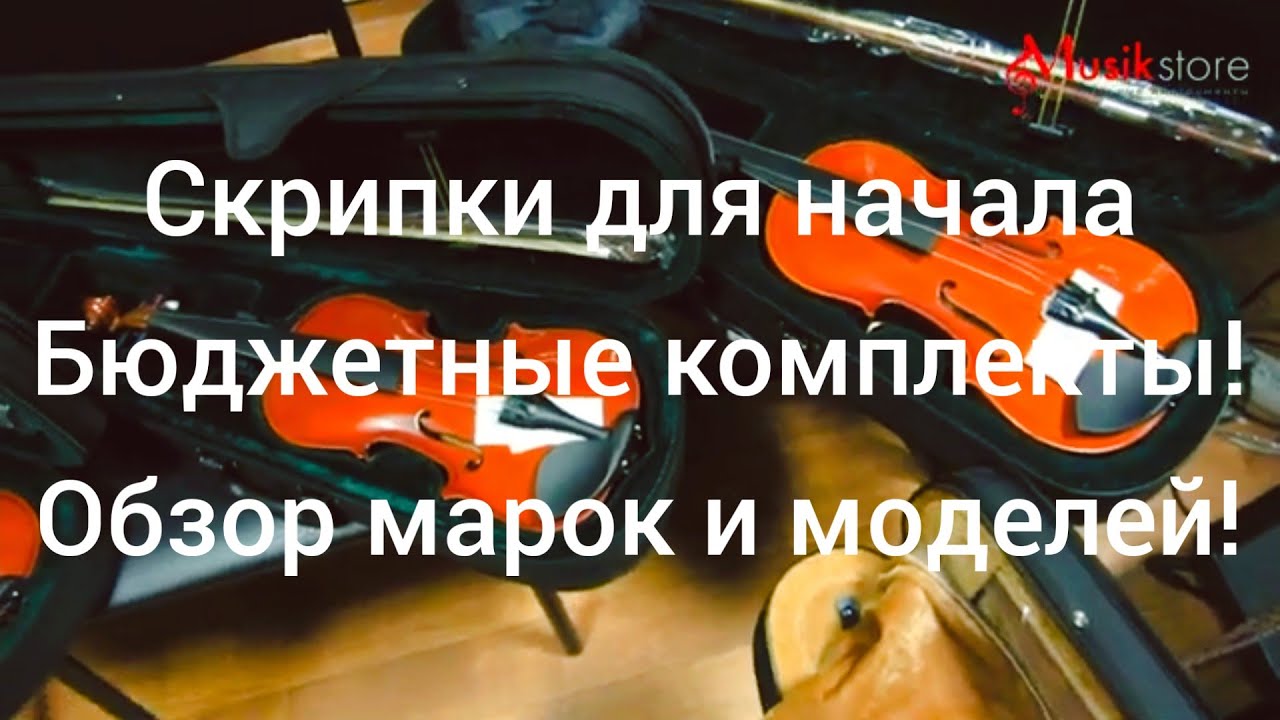 Скрипки. Где купить скрипку и как выбрать для начала? Обзор моделей от Мьюзик-Стор | musik-store.ru