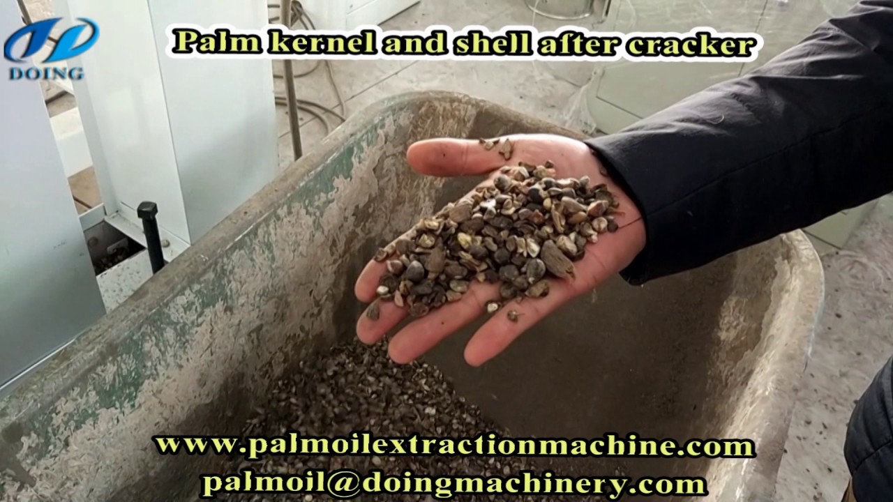 Palm kernel processing machine/palm kernel & shell cracker and separator