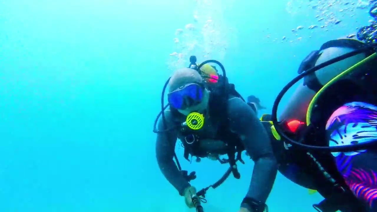 Underwater Gallery at Pulau Bidong.                       Terengganu, Malaysia.