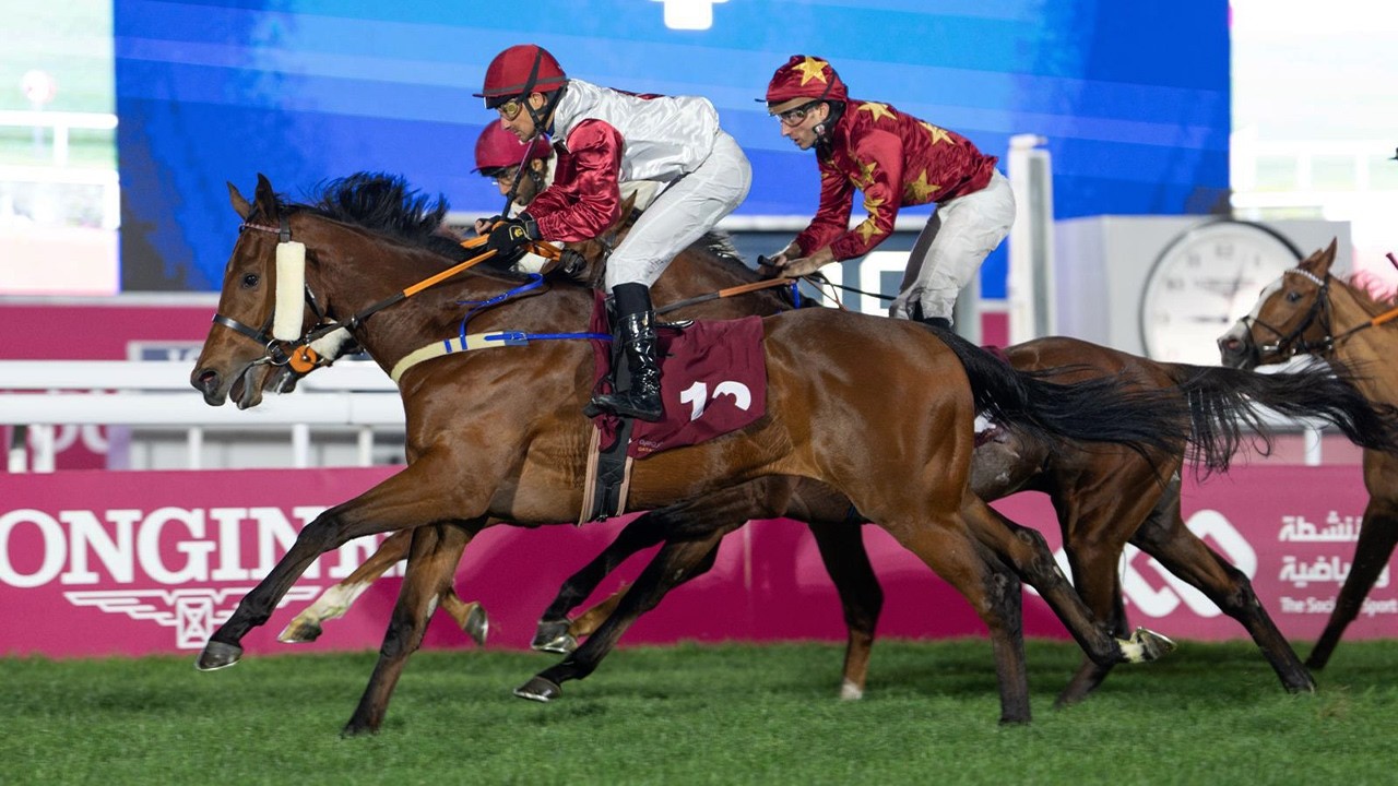 RM 54  Al Rayyan Race 2 -  Al Waab Cup