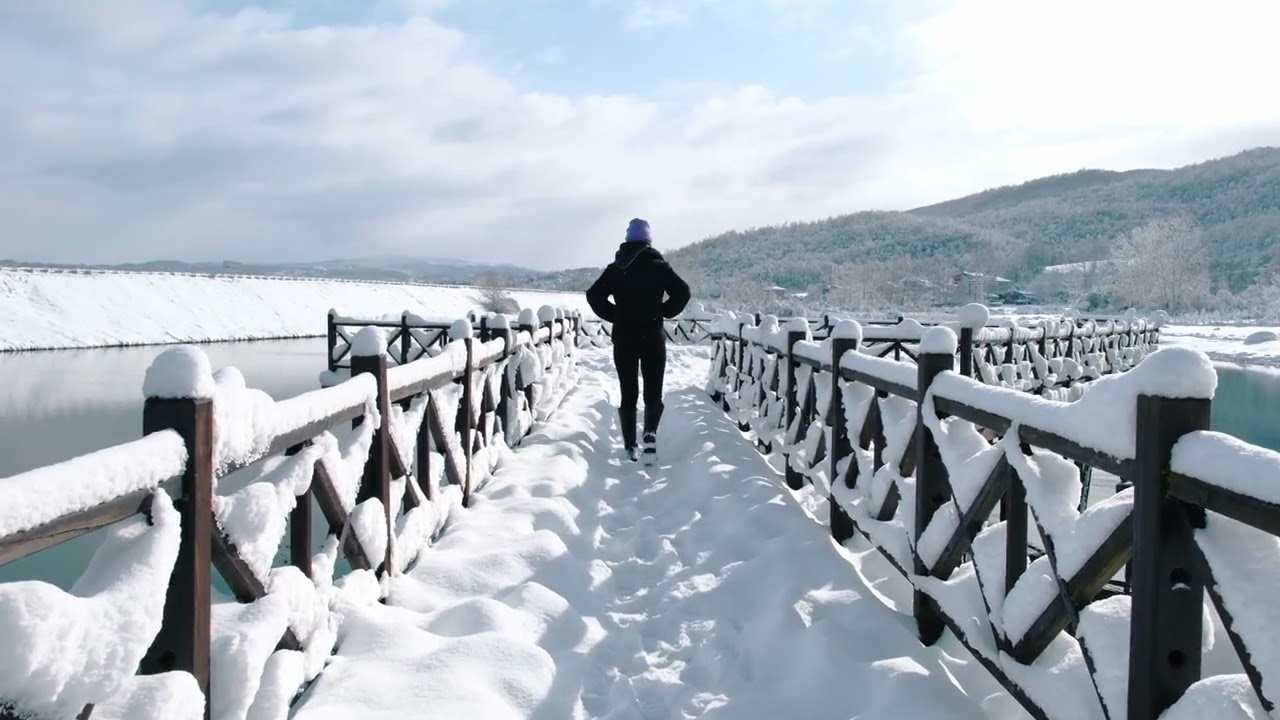 4610 Grand Boulevard Yard