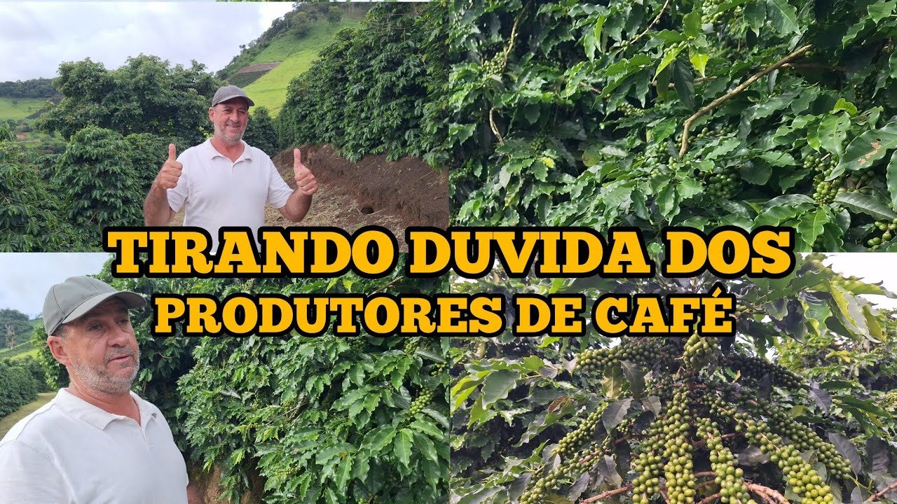 EXPLICANDO SOBRE PLANTAÇÃO DE CAFÉ