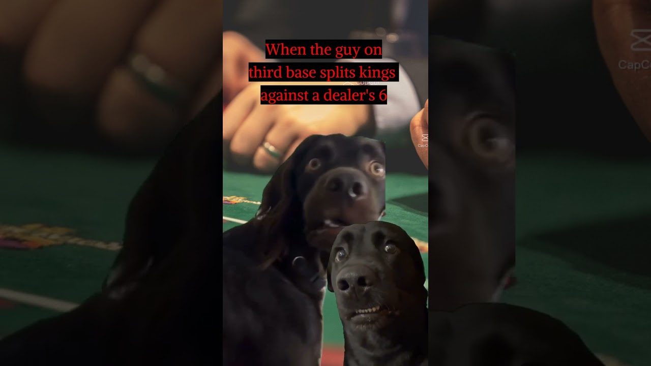 Dude...you're splitting Kings?!?! 🤯♠️♥️♣️♦️ 