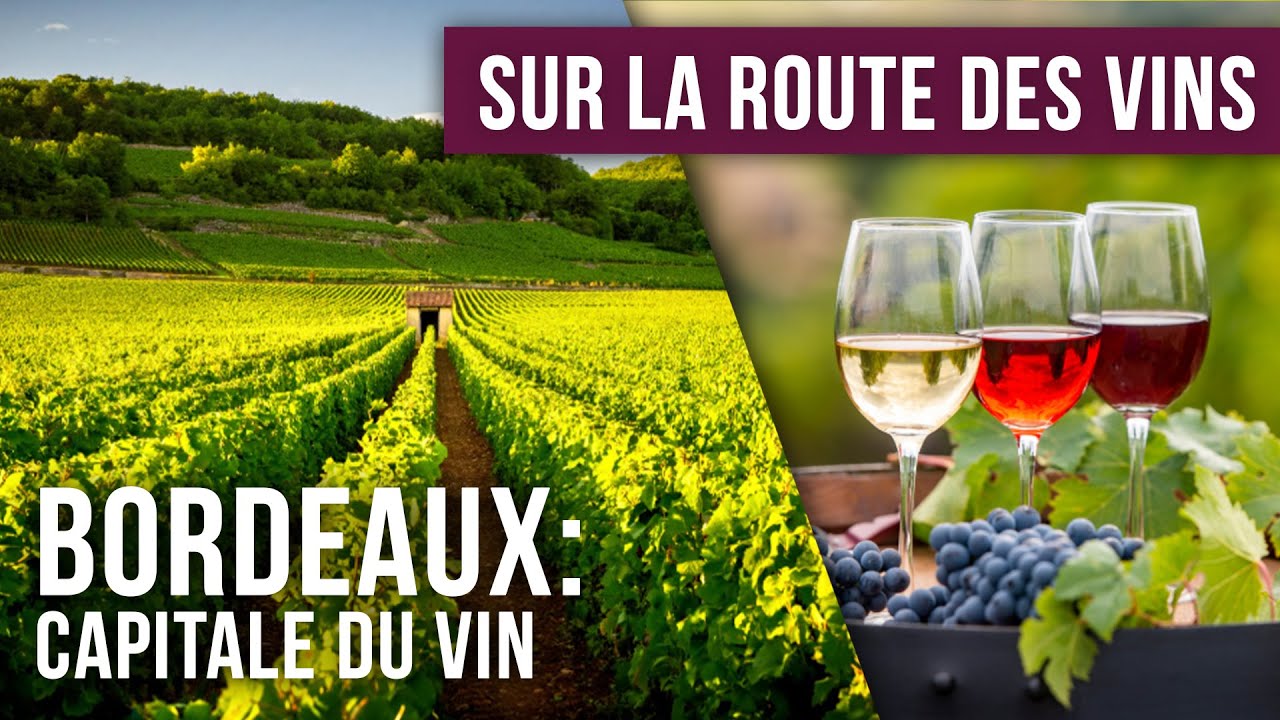 SUR LA ROUTE DES VINS &ndash; France : Bordeaux &ndash; Documentaire Voyage & &OElig;notourisme