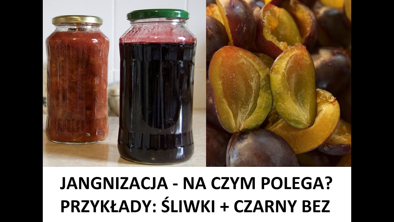 Janginizacja (przetwory) - na czym polega? ZŻ60