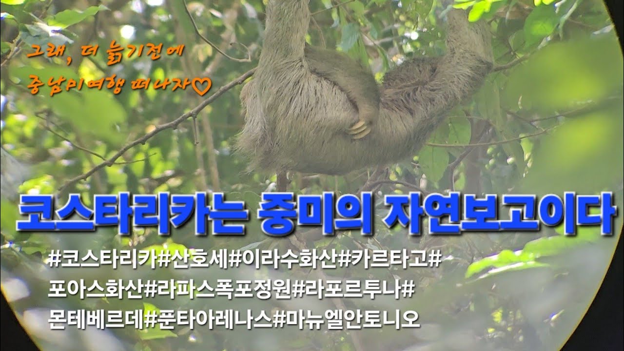 8. 🇨🇷 코스타리카는 중미의 자연보고 이다        #코스타리카여행     #중남미여행                     #코스타리카