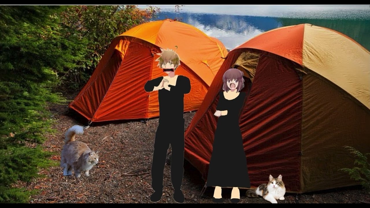 Hello Czechia and Slovakia. two Cats Camping  Last Days going to Tokyo