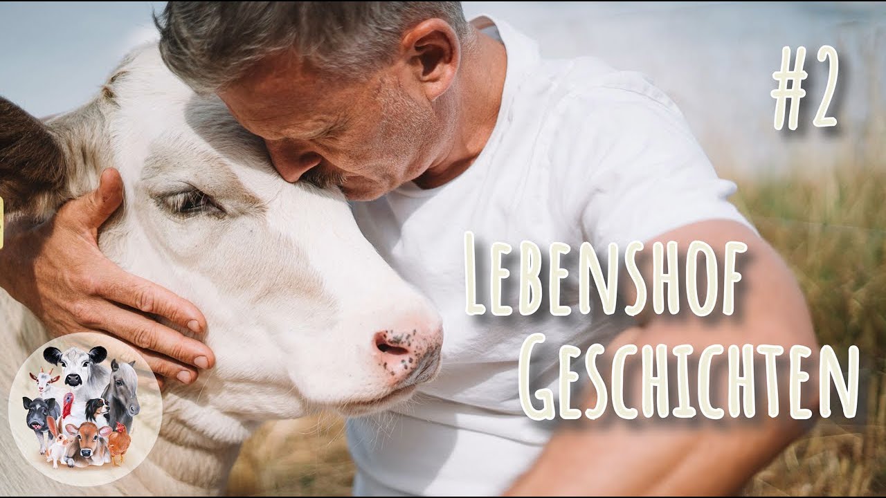 Morgenroutine – Lebenshof Geschichten # 2