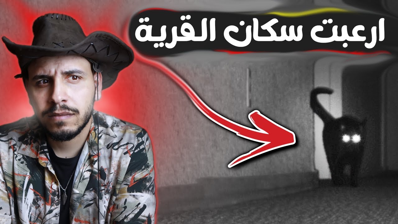قطط تقلب حال قرية مصرية كاملة راسا على عقب