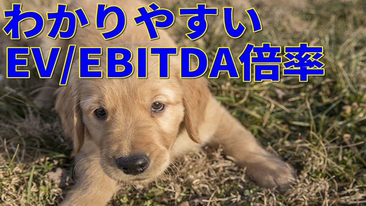 EV/EBITDA倍率とは何か？わかりやすく解説