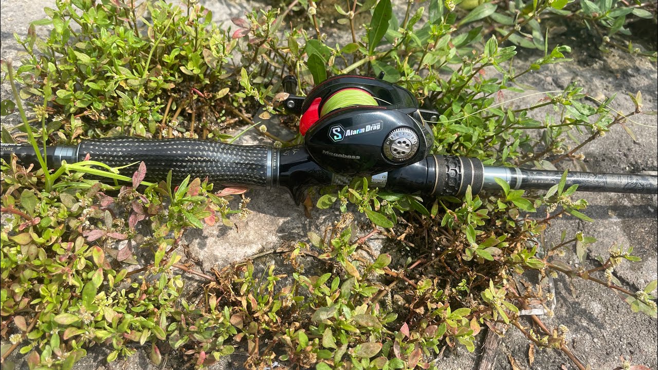 Giao lưu vs người anh cùng dùng cần megabass arms 7117 tại hồ lure Dương Văn Bé
