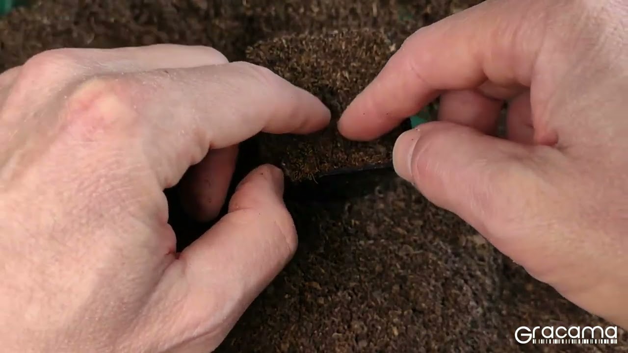 Die clevere Aussaat-Beschriftung | DIY | Pflanzenbeschriftung | Gartentipp