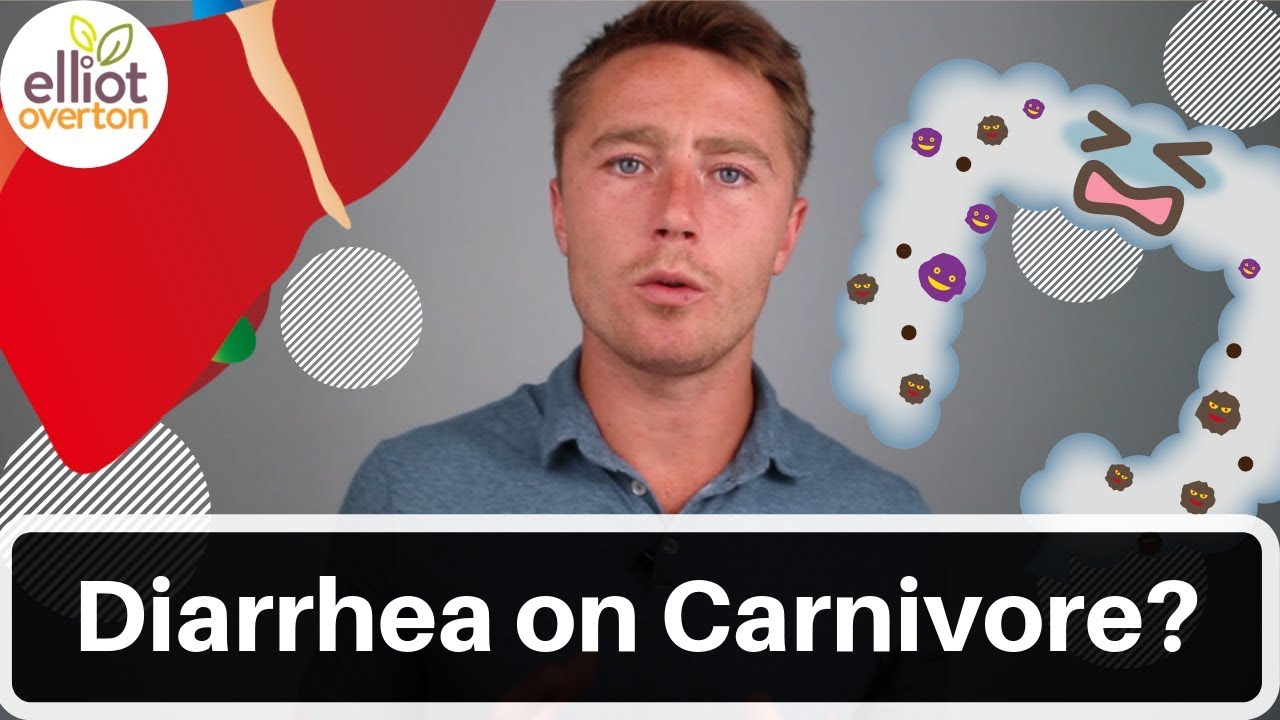 Chronic Diarrhea On Carnivore Diet?  Excess Bile,  FXR & Inflammation