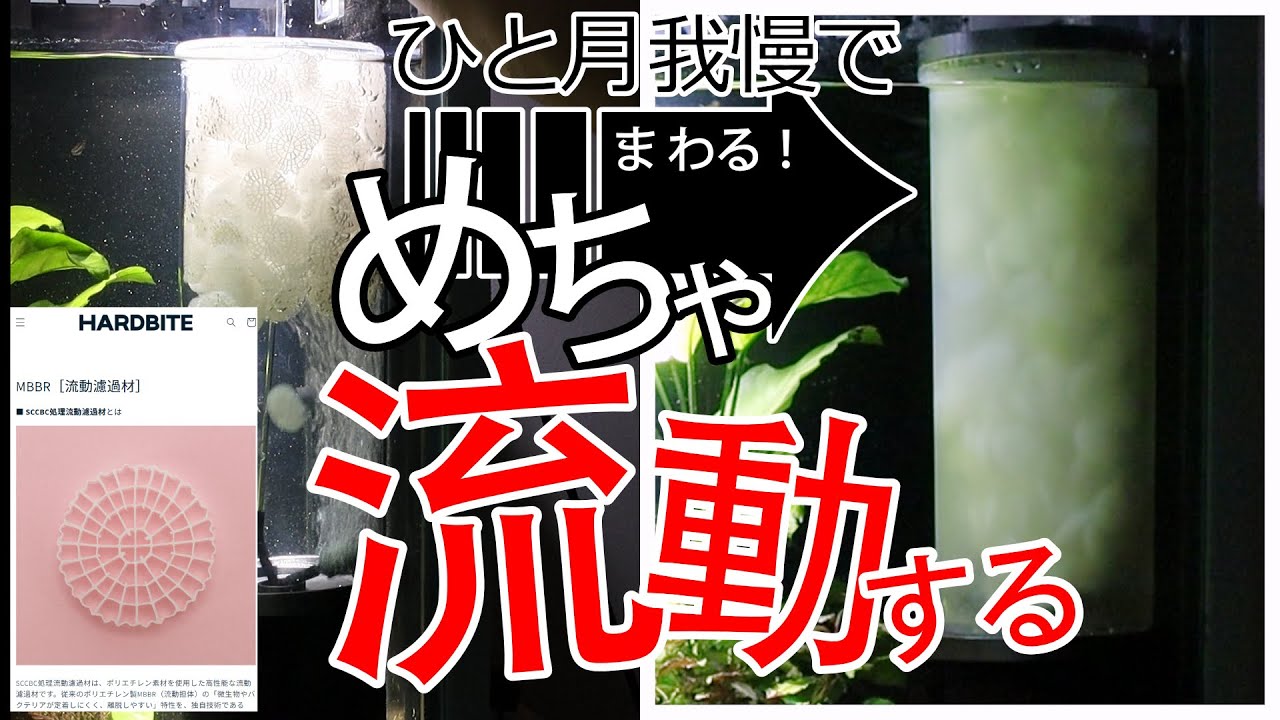 【後編】期待たっぷりで自作てみたら全く流動しない流動フィルターになってしまった･･･失敗から学ぶ設置のコツや注意点を公開
