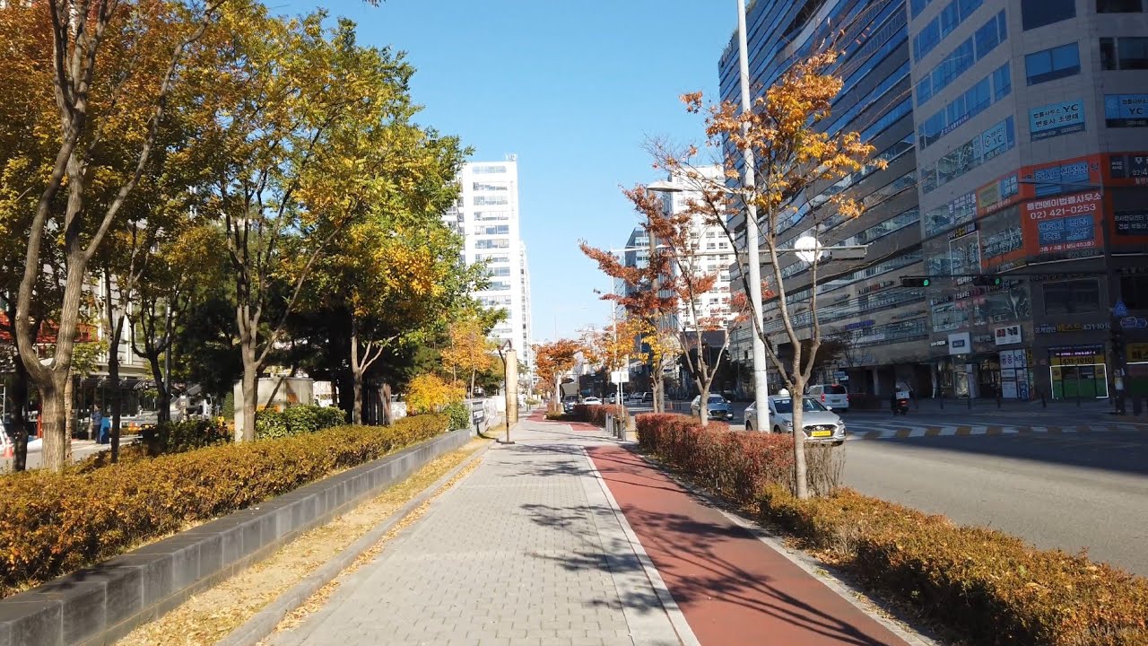 Discovering Peace: Songpa-gu's Calm Weekend Morning Stroll
