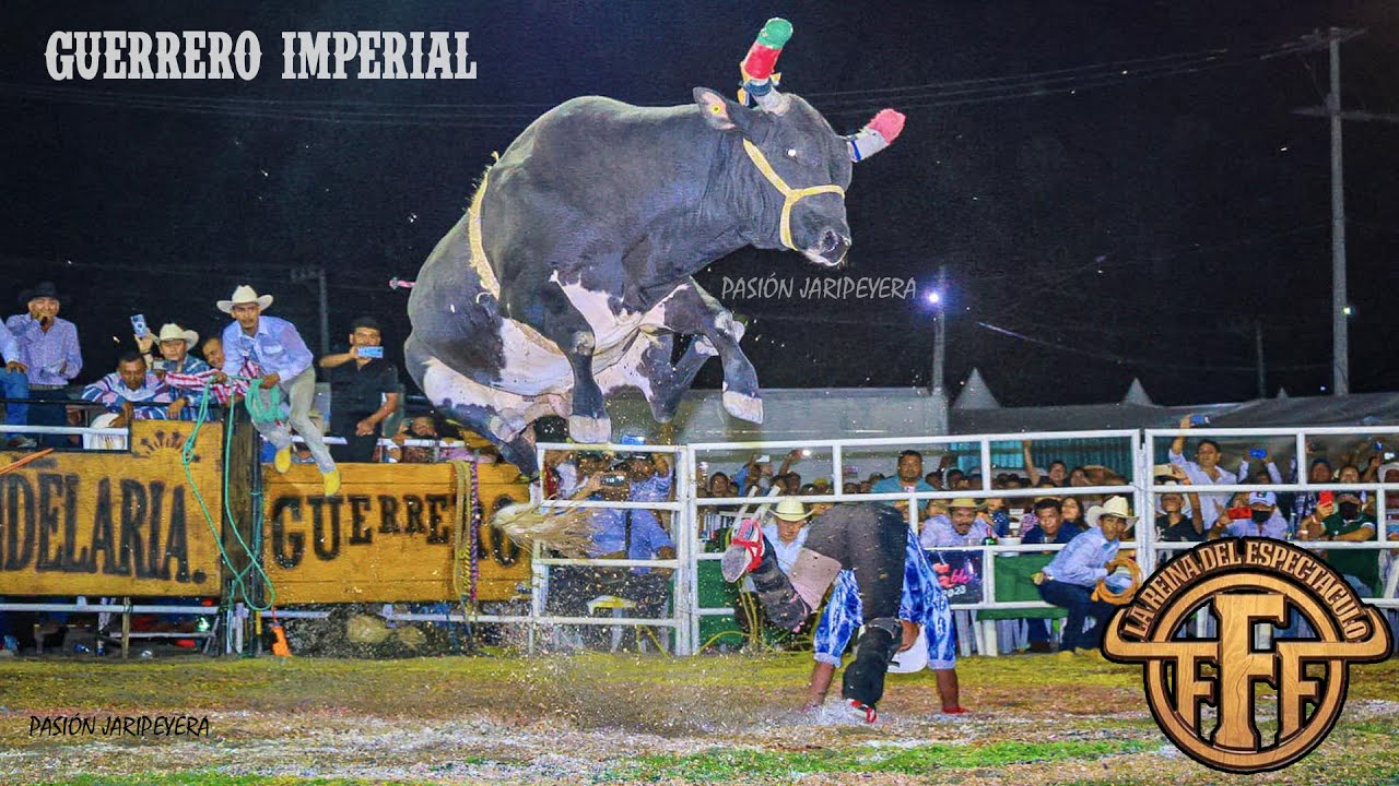 El mejor Jaripeo de RANCHO LA CANDELARIA en 2023 | 17 Torazos nacidos en Juliantla Guerrero | Iguala