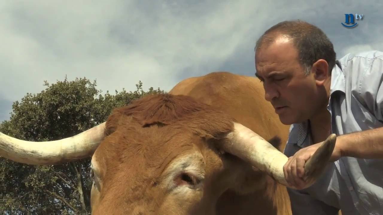 Un 'Capricho' de éxito