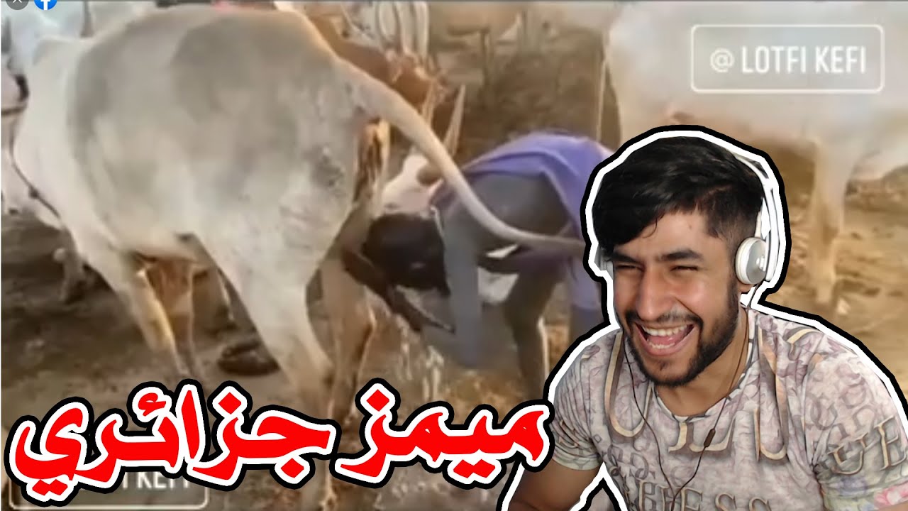 Algerian memes 12 - افضل ميمز جزائري