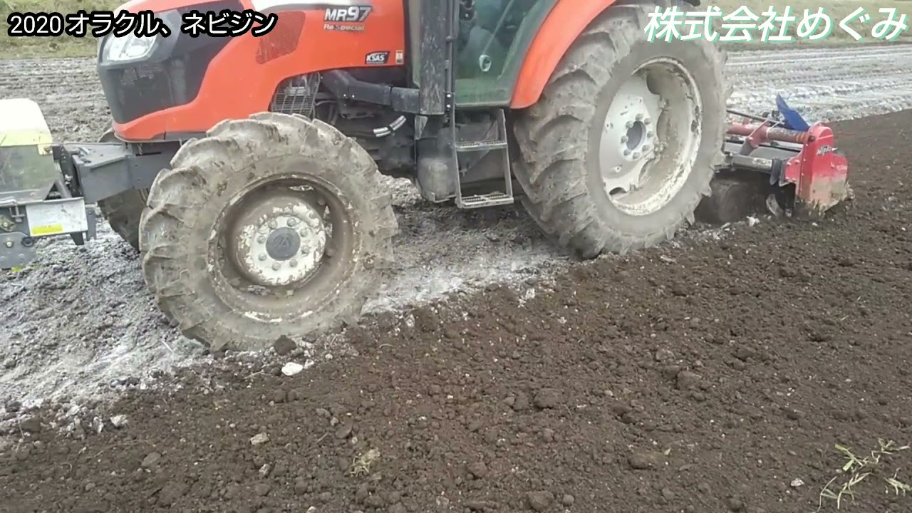 オラクル&ネビジン（根こぶ対策）