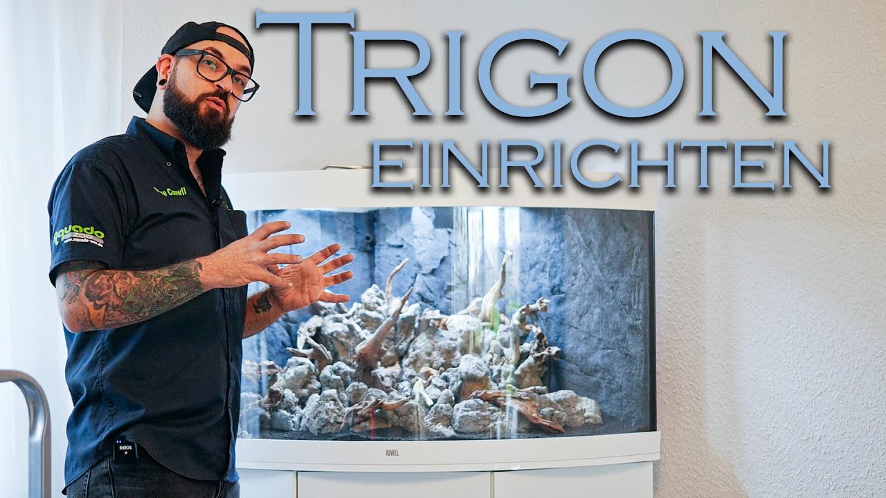 Juwel Trigon einrichten - Eckaquarium toll einrichten | Aquado-Zoo Dortmund
