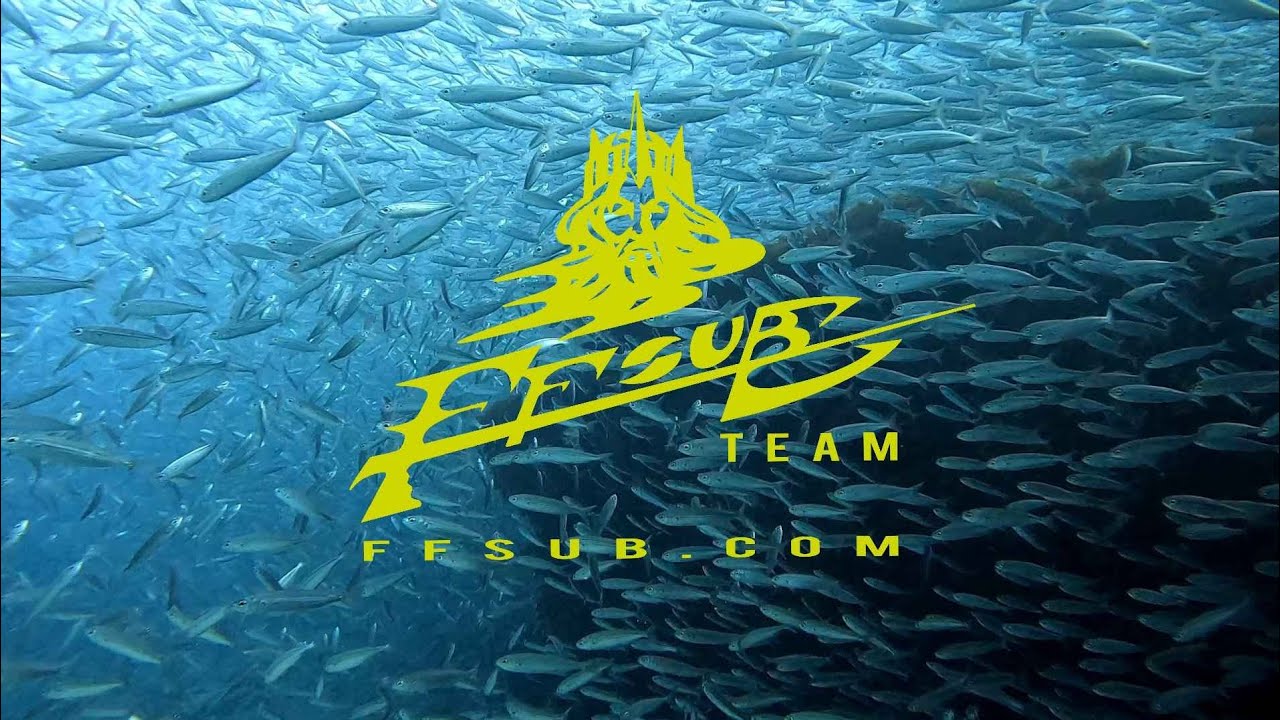 Pesca Submarina En El Estrecho