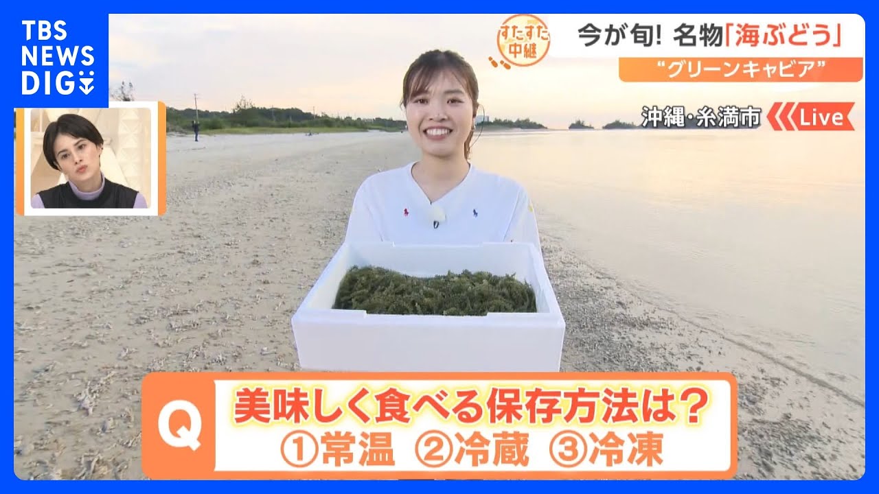 沖縄名物「海ぶどう」は今が食べ頃！金魚すくいのような「海ぶどうすくい」でどれだけ獲れる？珍メニュー「海ぶどうソフト」のお味は？【すたすた中継】｜TBS NEWS DIG