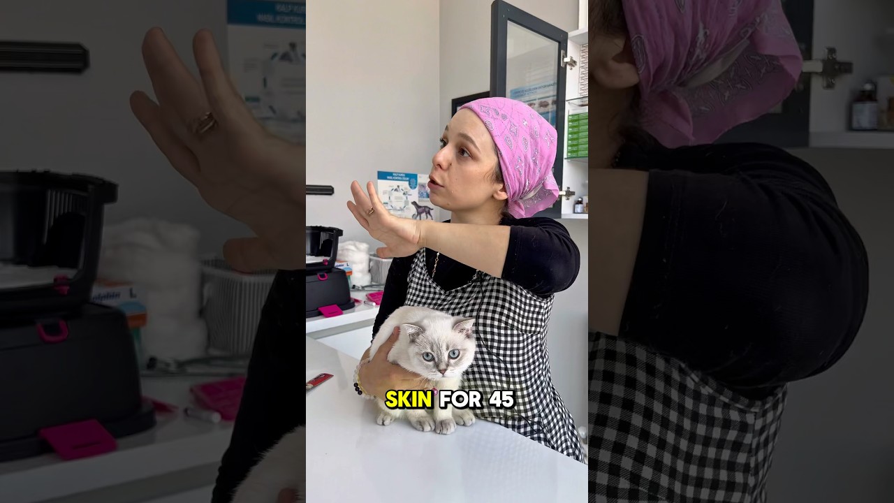 İ&ccedil; dış parazit de dikkat etmemiz gerekenler😳