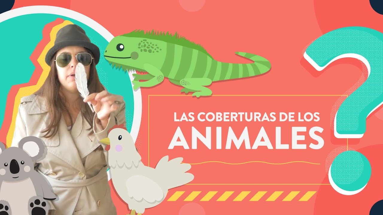Las coberturas de los animales | Escamas, piel, pelos y plumas