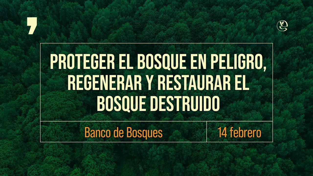 Protección de bosques en peligro, regeneración y restauración | EV junto a Banco de Bosques