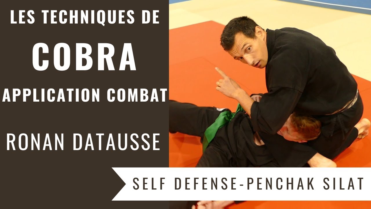 Les Cobras - Applications en Combat (Self Défense - Penchak Silat // Ronan Datausse)