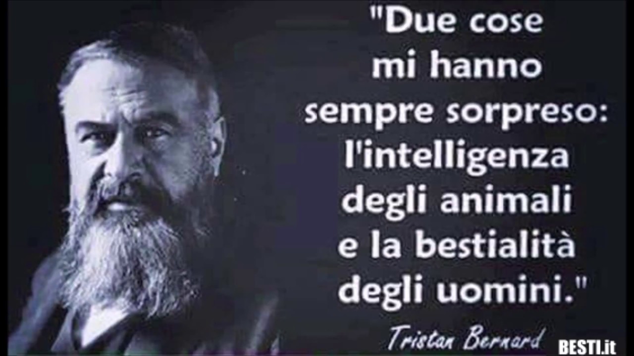 Immagini divertenti a doppio senso e non compilation 4 Hack Life