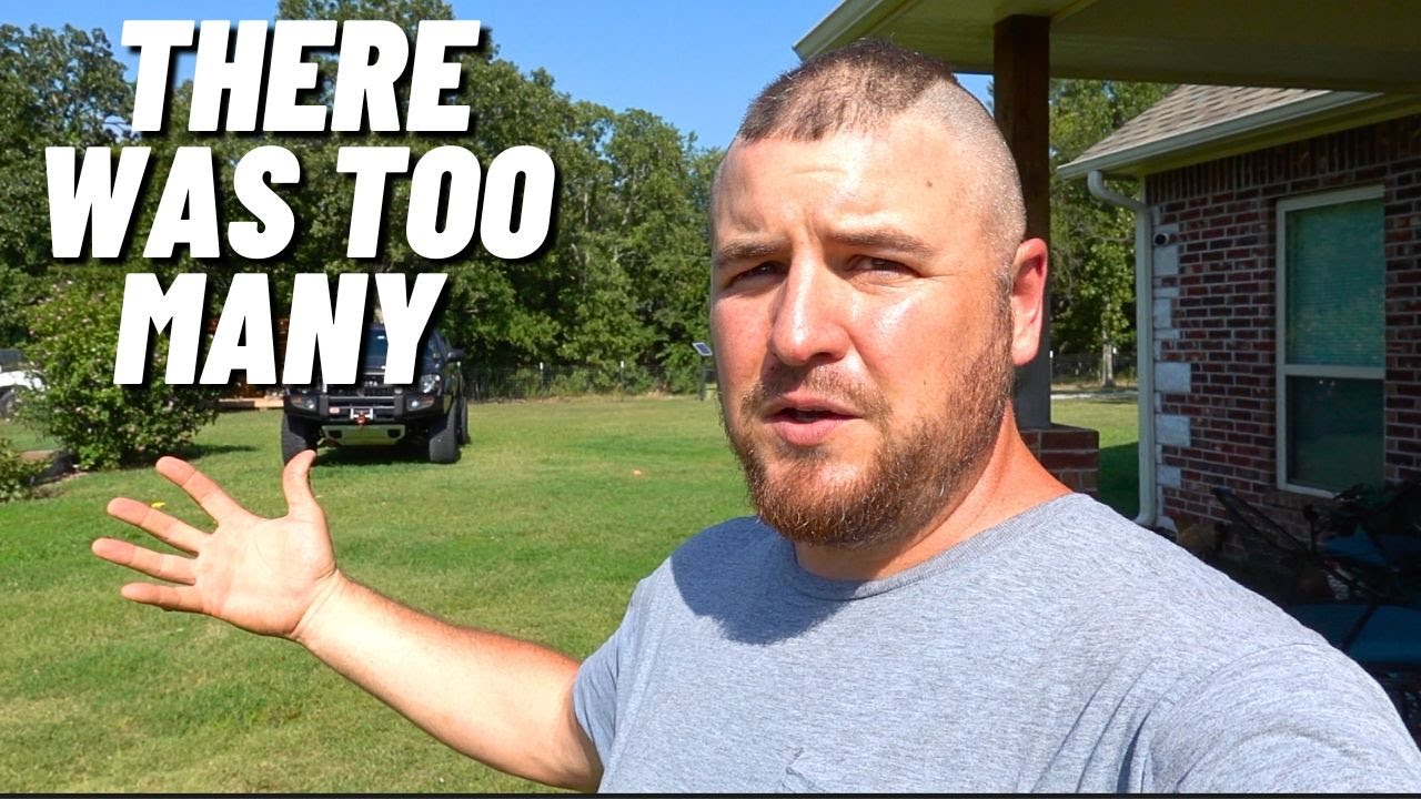 THEY TOOK OVER THE FARM SO THERE WAS ONLY ONE THING WE COULD DO!