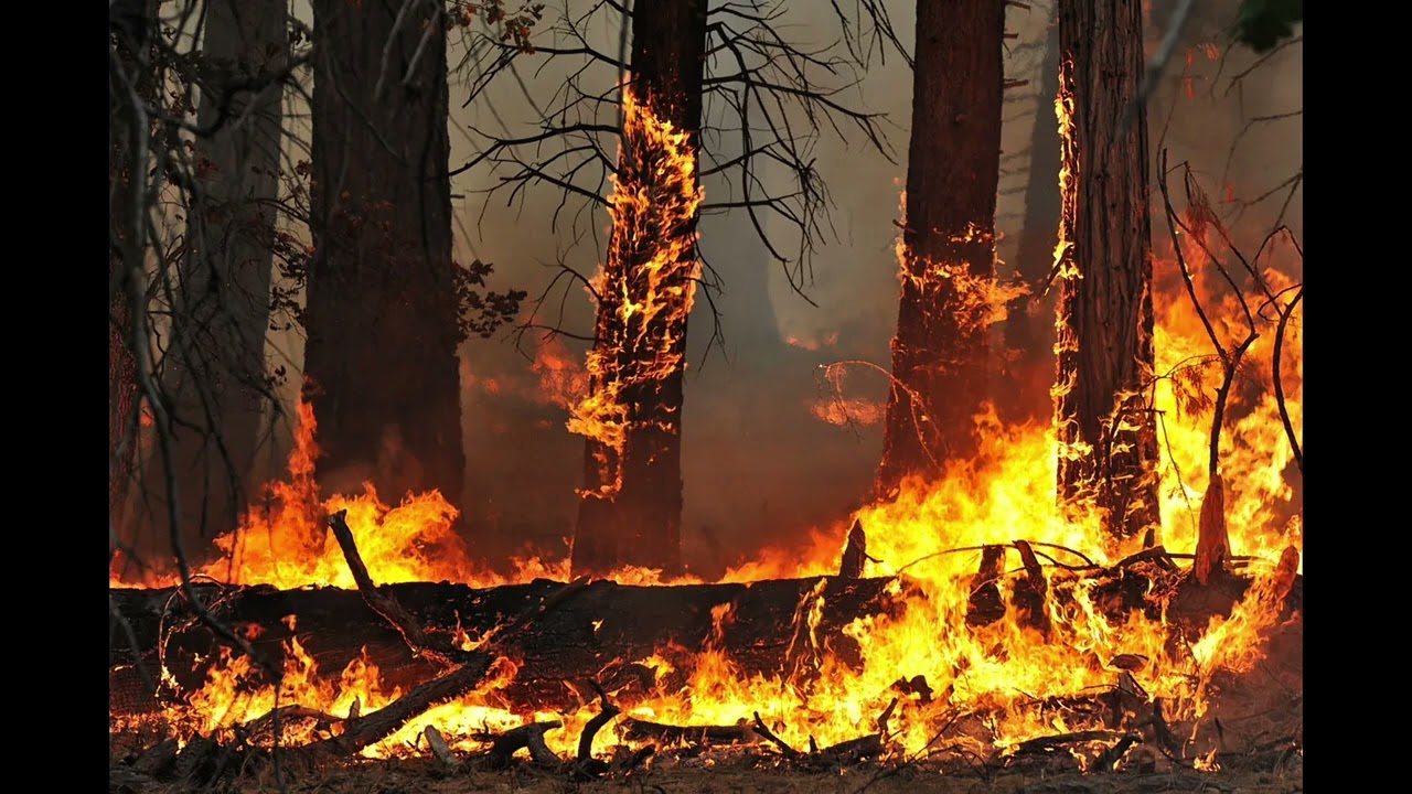 the fire without burn