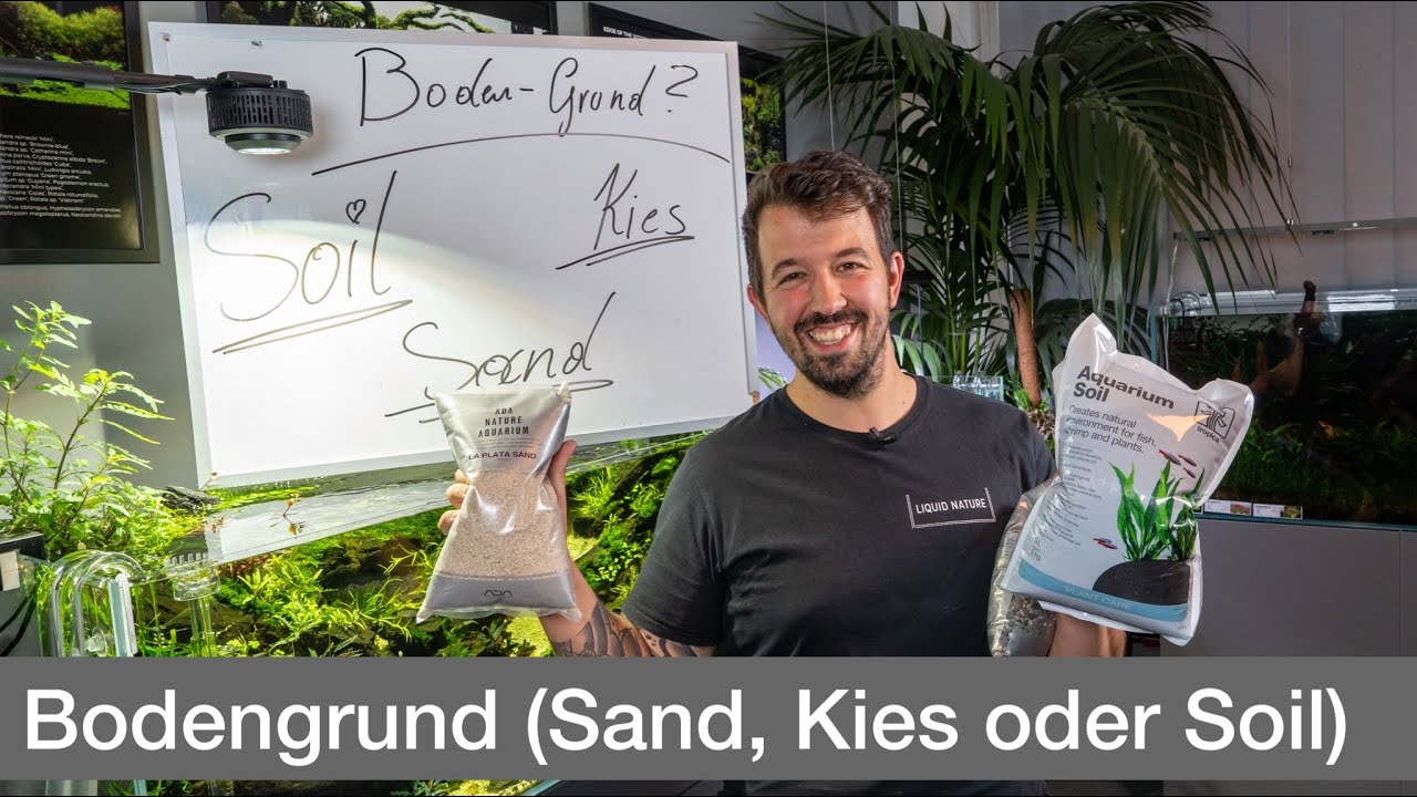 Der BESTE Bodengrund für dein Aquarium? Sand, Kies, Soil, ... | Liquid Nature