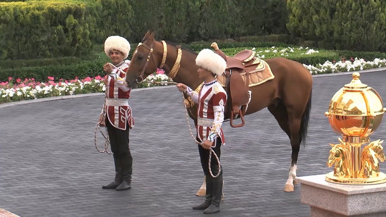 A rare look inside Turkmen Racing Horse Festival