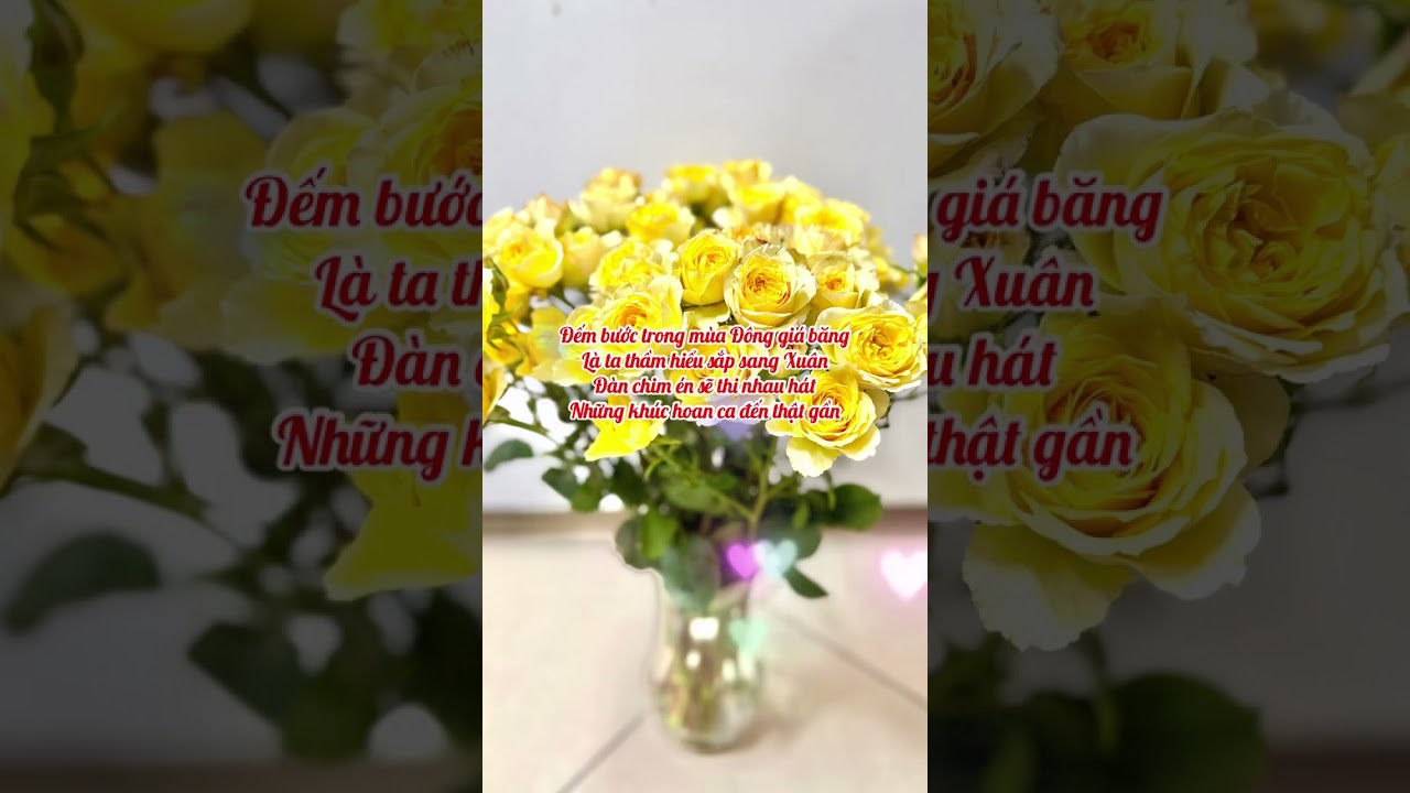 MỘT THOÁNG
