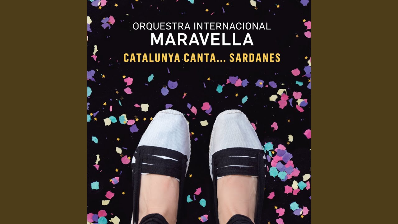 A la Plaça Hi Ha Sardanes