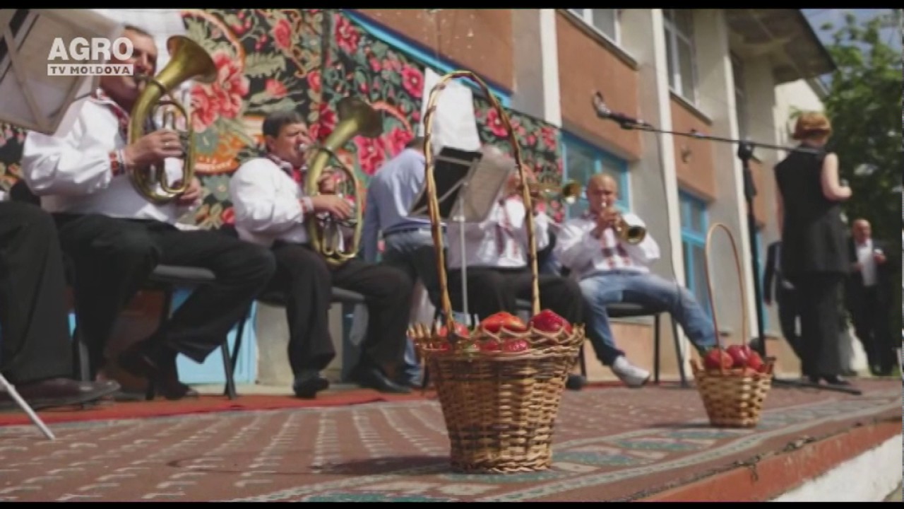 Sărbătoarea căpșunilor și a mierii la Sadova