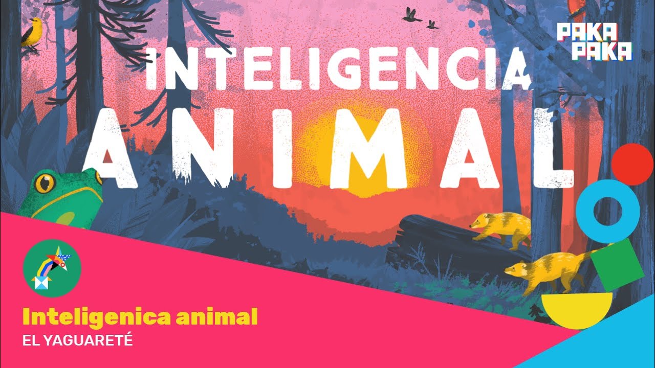 Inteligencia Animal - Cap. 13: El yaguareté - Pakapaka