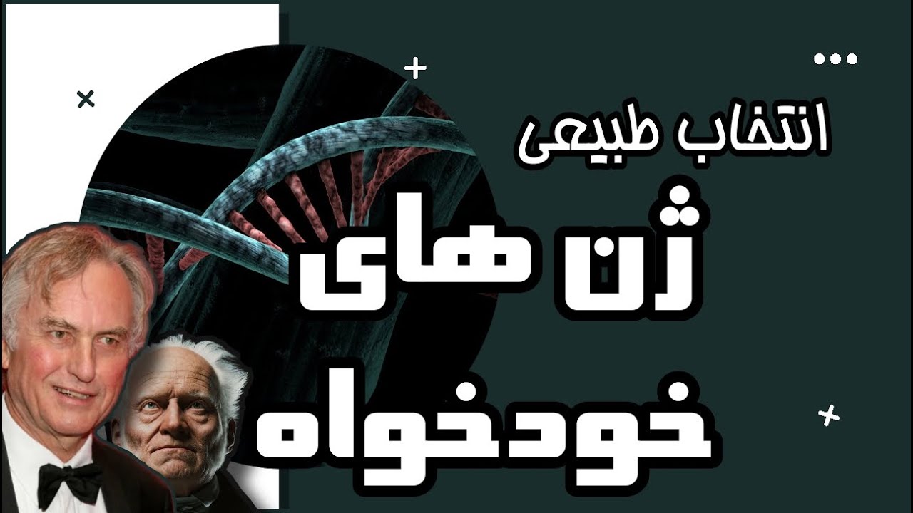 انتخاب طبیعی و ژن های خودخواه