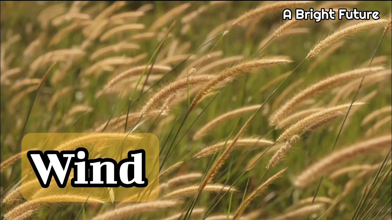 Wind - Music Video 